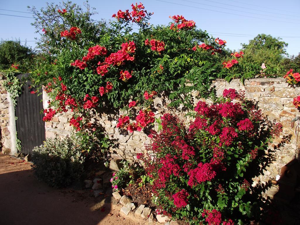 Saint-Germain-sur-Moine Les Belles Epoques B&B - Piscine - Terrasses - Brumisateurs - Proche Puy Du Fou מראה חיצוני תמונה